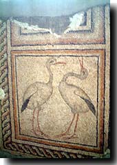 考古学博物館〜目付きが怪しい鳥のモザイク